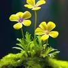 sunhy_1997_