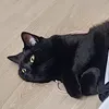 n0nplusultra