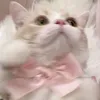 tk._623