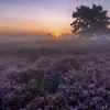 mksxxl_n1