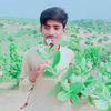 raja.dolat.meghwa
