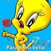 silueta.0493