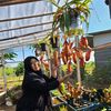 alya.plant