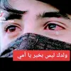 hassan13521
