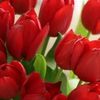 marwaahmed6281