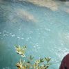 adem_alkan_01
