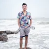 dai8386666