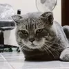 hiimkienn
