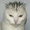 psykmf