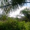 hangkebun05
