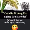 tap_lam_ruong94