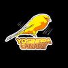 yosindra_canary