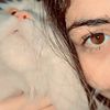 user92170928