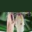 aseafat_alhazem