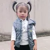 tintam37