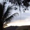 lararamosfonseca