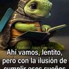 suchocda28