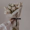 mony_e1