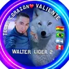 👑Walter❤️💛💚