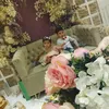 alialrazamustafa