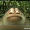 dan.86.86