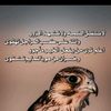 user5575840522542