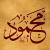 mahmoodamer5