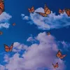 princess_edits_videos