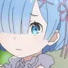 rem07969