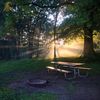 dreams_and_sunshine