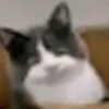 deffectet