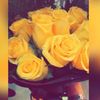 fno_366