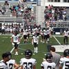 kellan.meehan421