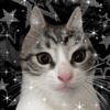lov3_strawb3rry