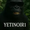 yetinoir1