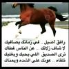 5566aziz