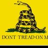 usernamelionsnotsheep