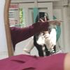 nfaa_na