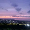 ael10.21