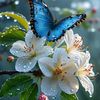e.liamm