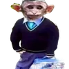 sisbrr