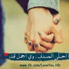 user391095852
