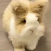 _kemmiuchoco_