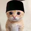 4rfh00