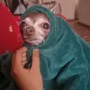 la.__jenny