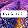 ibtahddff