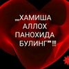user313113308