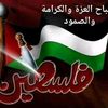 mahmoudelaraishi