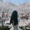 sallynguyen1314
