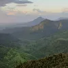 mayafriqu